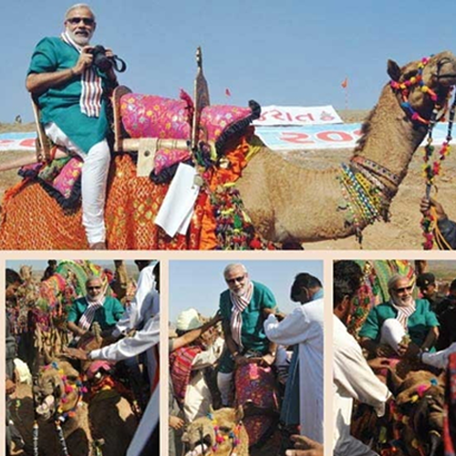 Narendra Modi over Camel