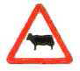 Possibility of cattle on road