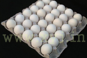 Eggs Image