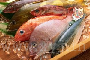 Seafood Image