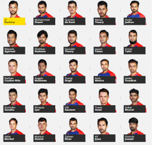 Delhi Daredevils (DD) Image 2015