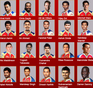Royal Challengers Banglore (RCB) team squad Image 2015