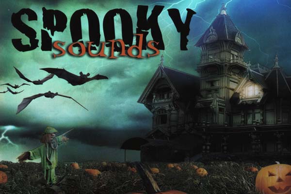 How to Decorate Home for Halloween Party Under Budget