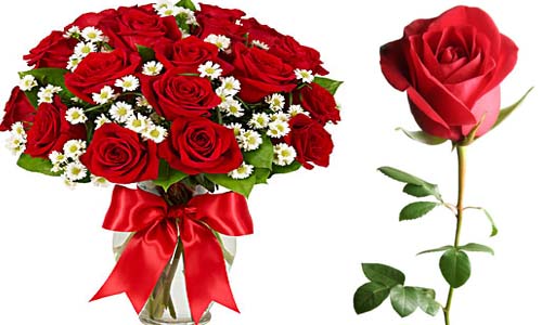 Red Roses