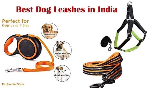Best Dog Leashes in India