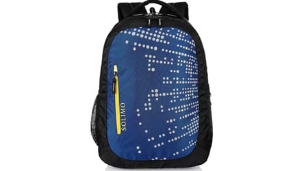 Amazon Brand Solimo Laptop Backpack